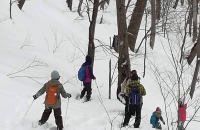 Snowshoe Experience in the Geopark Forest of Mikasa with EKARA Special Lunch BOX and Hot Wine (One drink free)